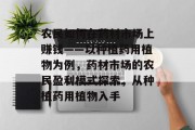 农民如何在药材市场上赚钱——以种植药用植物为例,药材市场的农民盈利模式探索,从种植药用植物入手 农民如何在药材市场上赚钱——以种植药用植物为例,药材市场的农民盈利模式探索,从种植药用植物入手