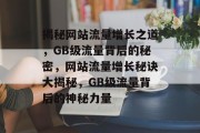 揭秘网站流量增长之道，GB级流量背后的秘密，网站流量增长秘诀大揭秘，GB级流量背后的神秘力量