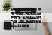 盐城网站流量营销，策略与实践，助力企业品牌腾飞，盐城企业品牌飞跃，网站流量营销策略与实践解析