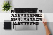 网站流量统计软件，助力企业精准把握网络营销脉搏，精准流量监测，企业网络营销利器