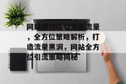 网站如何吸引海量流量，全方位策略解析，打造流量黑洞，网站全方位引流策略揭秘