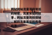 揭秘网站流量简称背后的秘密，流量背后的故事，网站流量简称探秘，解码流量背后的传奇故事