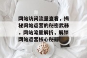 网站访问流量查看，揭秘网站运营的秘密武器，网站流量解析，解锁网站运营核心秘籍