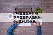 CVR能源盘中异动 下午盘股价大跌5.00%报24.50美元