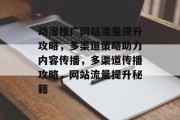 动漫推广网站流量提升攻略，多渠道策略助力内容传播，多渠道传播攻略，网站流量提升秘籍