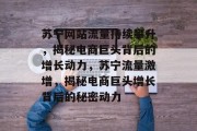 苏宁网站流量持续攀升，揭秘电商巨头背后的增长动力，苏宁流量激增，揭秘电商巨头增长背后的秘密动力