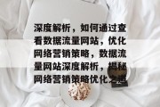深度解析，如何通过查看数据流量网站，优化网络营销策略，数据流量网站深度解析，揭秘网络营销策略优化之道