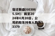 宿迁联盛(603065.SH)：截至2024年6月20日，公司的股东持有人数为13379