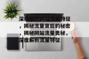 深度解析网站流量特征，揭秘流量背后的秘密，揭秘网站流量奥秘，深度解析流量特征