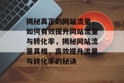 揭秘真正的网站流量，如何有效提升网站流量与转化率，揭秘网站流量真相，高效提升流量与转化率的秘诀