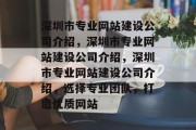 深圳市专业网站建设公司介绍，深圳市专业网站建设公司介绍，深圳市专业网站建设公司介绍，选择专业团队，打造优质网站