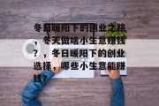 冬日暖阳下的创业之路，冬天做啥小生意赚钱？，冬日暖阳下的创业选择，哪些小生意能赚钱？