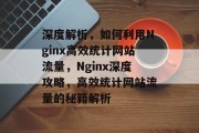 深度解析，如何利用Nginx高效统计网站流量，Nginx深度攻略，高效统计网站流量的秘籍解析