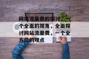 网站流量费的探讨，一个全面的视角，全面探讨网站流量费，一个全方位的观点