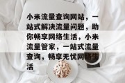 小米流量查询网站，一站式解决流量问题，助你畅享网络生活，小米流量管家，一站式流量查询，畅享无忧网络生活
