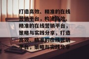 打造高效、精准的在线营销平台，构建高效、精准的在线营销平台，策略与实践分享，打造高效、精准的在线营销平台，策略与实践分享