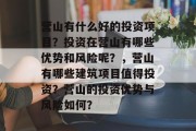 营山有什么好的投资项目?投资在营山有哪些优势和风险呢?,营山有哪些建筑项目值得投资?营山的投资优势与风险如何?