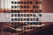 专业做网站系统，助力企业打造高效、安全、智能的在线平台，打造企业高效在线平台，专业网站系统解决方案，专业网站系统解决方案，助力企业构建高效智能在线平台