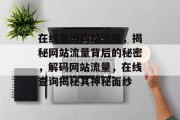 在线查询网站流量，揭秘网站流量背后的秘密，解码网站流量，在线查询揭秘其神秘面纱