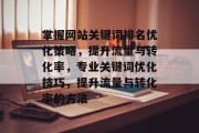 掌握网站关键词排名优化策略，提升流量与转化率，专业关键词优化技巧，提升流量与转化率的方法