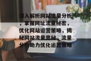 深入解析网站流量分析，掌握网址流量秘密，优化网站运营策略，揭秘网站流量奥秘，流量分析助力优化运营策略