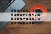 流量检测网站，揭秘网络流量背后的秘密，网络流量秘密大揭秘，流量检测网站深度解析