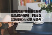 自然流量对网站的重要性及提升策略，网站自然流量优化关键与提升之道