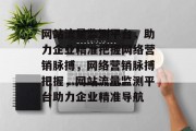 网站流量监测平台，助力企业精准把握网络营销脉搏，网络营销脉搏把握，网站流量监测平台助力企业精准导航