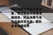 网站流量与电信公司流量，相互依存与未来发展趋势，网站流量与电信流量共生共荣，解析未来发展趋势