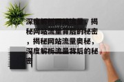 深度解析网站流量，揭秘网站流量背后的秘密，揭秘网站流量奥秘，深度解析流量背后的秘密