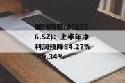 瑞玛精密(002976.SZ)：上半年净利润预降84.27%-89.34%
