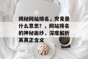揭秘网站排名，究竟是什么意思？，网站排名的神秘面纱，深度解析其真正含义