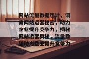 网站流量数据统计，洞察网站运营秘密，助力企业提升竞争力，揭秘网站运营奥秘，流量数据助力企业提升竞争力