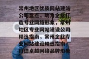 常州地区优质网站建站公司盘点，助力企业打造专业网络形象，常州地区专业网站建设公司精选指南，常州企业专业网站建设精选指南，打造卓越网络品牌形象