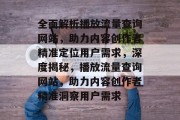 全面解析播放流量查询网站，助力内容创作者精准定位用户需求，深度揭秘，播放流量查询网站，助力内容创作者精准洞察用户需求