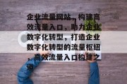 企业流量网站，构建高效流量入口，助力企业数字化转型，打造企业数字化转型的流量枢纽，高效流量入口构建之道