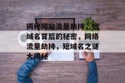 揭秘网站流量劫持，短域名背后的秘密，网络流量劫持，短域名之谜大揭秘