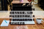 揭秘SJ刷网站流量软件，如何快速提升网站流量与知名度，SJ刷网站流量软件揭秘，高效提升网站流量与知名度的秘密武器
