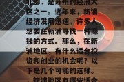 新浦位于江苏省苏州市北部,是苏州的经济大区之一。近年来,新浦经济发展迅速,许多人想要在新浦寻找一种赚钱的方式。那么,在新浦地区,有什么适合投资和创业的机会呢?以下是几个可能的选择。,新浦地区有哪些适合投资和创业的机会?