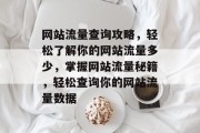 网站流量查询攻略，轻松了解你的网站流量多少，掌握网站流量秘籍，轻松查询你的网站流量数据