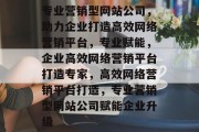 专业营销型网站公司，助力企业打造高效网络营销平台，专业赋能，企业高效网络营销平台打造专家，高效网络营销平台打造，专业营销型网站公司赋能企业升级