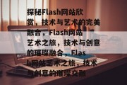 探秘Flash网站欣赏，技术与艺术的完美融合，Flash网站艺术之旅，技术与创意的璀璨融合，Flash网站艺术之旅，技术与创意的璀璨交融