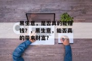 黑生意,是否真的能赚钱?,黑生意,能否真的带来财富? 黑生意,是否真的能赚钱?,黑生意,能否真的带来财富?