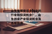 山东有哪些适合创业的行业和投资机会？，山东创业产业投资机会及选择指南