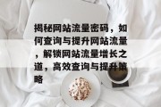 揭秘网站流量密码，如何查询与提升网站流量，解锁网站流量增长之道，高效查询与提升策略