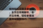 如何轻松获取流量网站，全方位攻略解析，全方位攻略，轻松掌握流量网站获取技巧