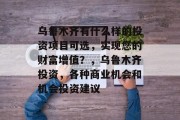 乌鲁木齐有什么样的投资项目可选，实现您的财富增值？，乌鲁木齐投资，各种商业机会和机会投资建议