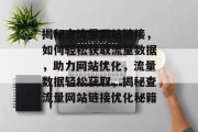 揭秘查流量网站链接，如何轻松获取流量数据，助力网站优化，流量数据轻松获取，揭秘查流量网站链接优化秘籍