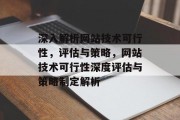深入解析网站技术可行性，评估与策略，网站技术可行性深度评估与策略制定解析
