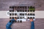 揭秘节点网站买流量的秘密，如何实现高效流量获取，揭秘节点网站流量购买技巧，高效流量获取之道